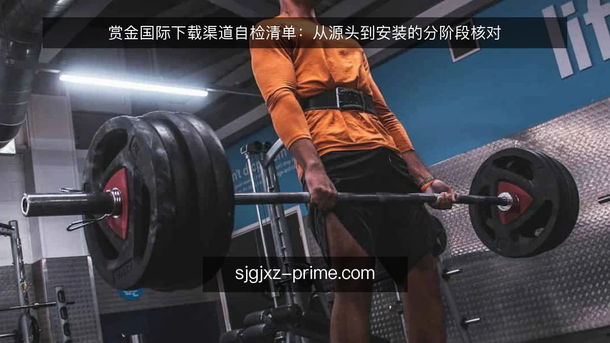 赏金国际下载渠道自检清单：从源头到安装的分阶段核对