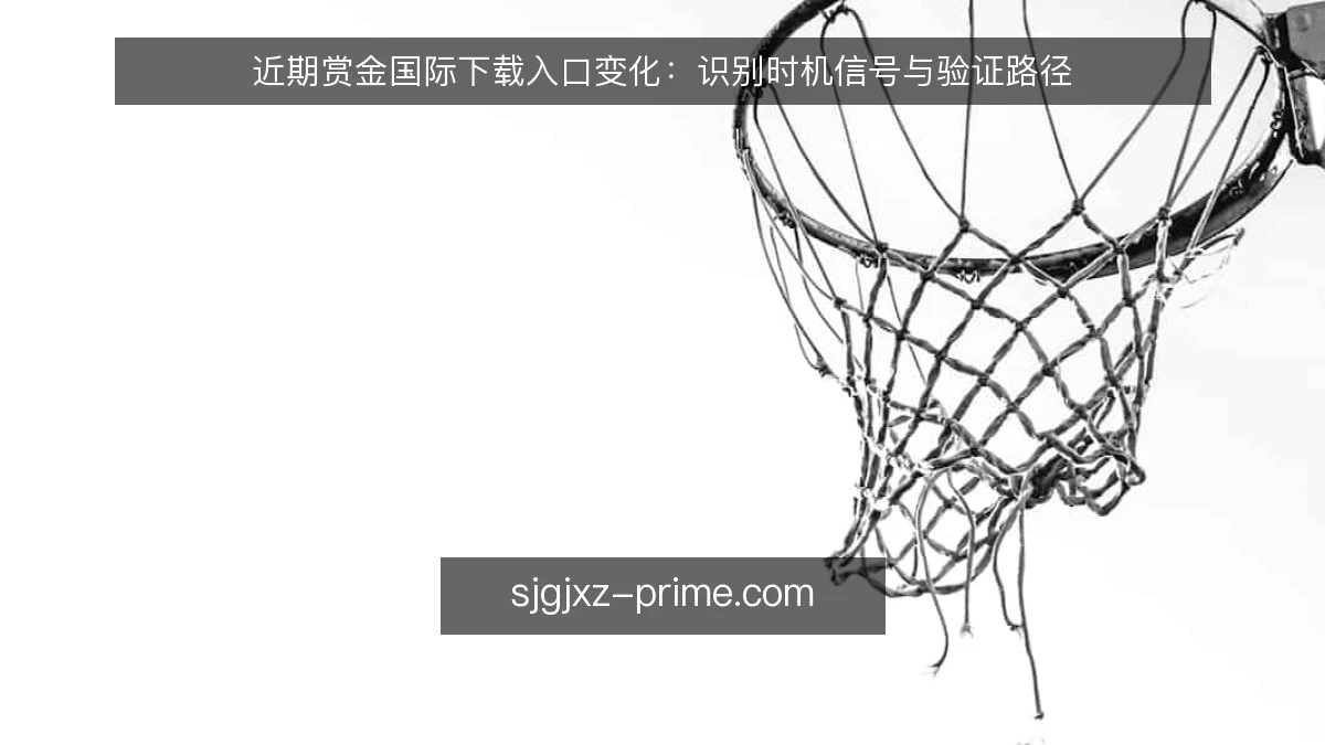 近期赏金国际下载入口变化：识别时机信号与验证路径