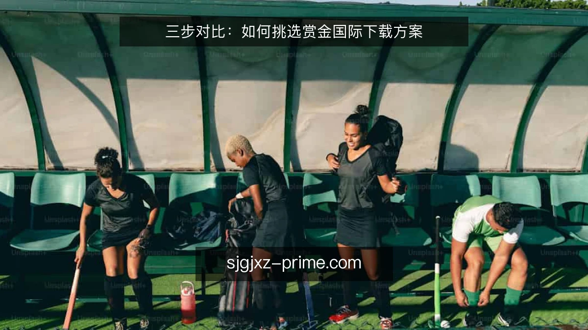 三步对比:如何挑选赏金国际下载方案