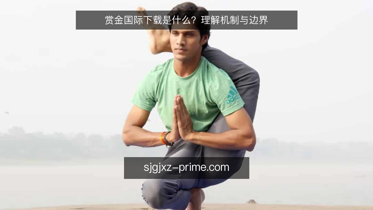 赏金国际下载是什么?理解机制与边界