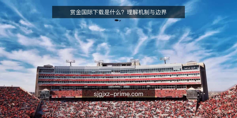 赏金国际下载是什么?理解机制与边界 — 什么是赏金国际下载 配图