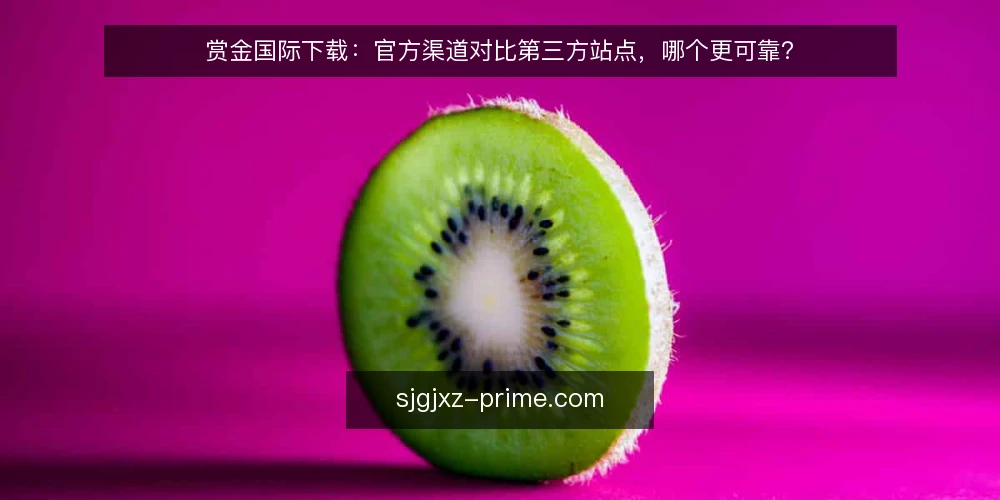赏金国际下载:官方渠道对比第三方站点,哪个更可靠? — 对比维度:下载渠道的可靠性判断标准 配图
