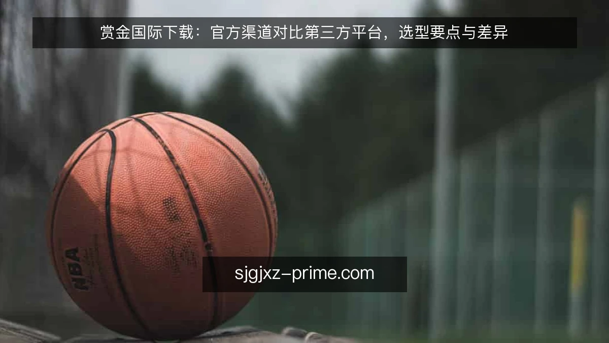 赏金国际下载:官方渠道对比第三方平台,选型要点与差异