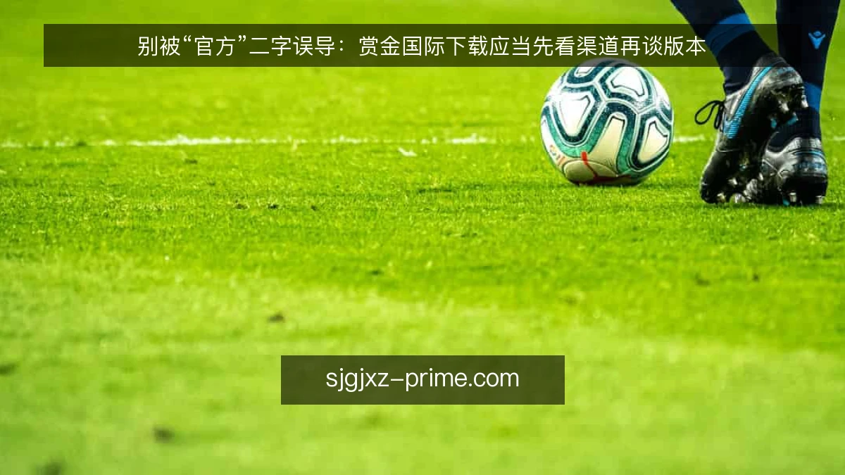别被“官方”二字误导:赏金国际下载应当先看渠道再谈版本