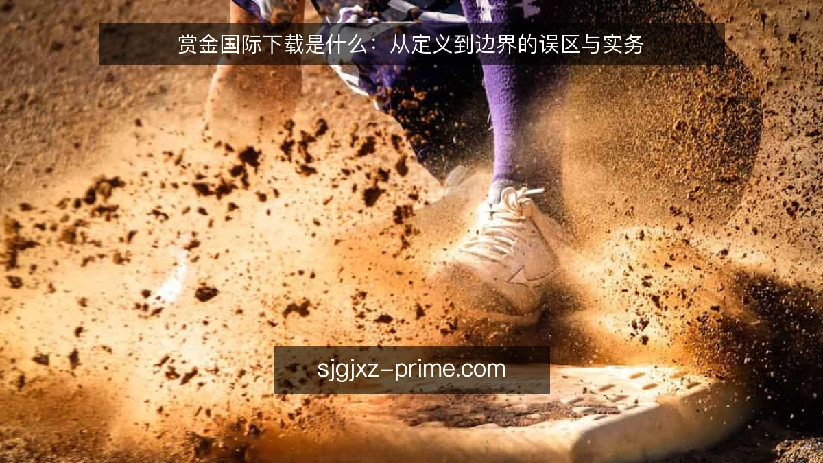 赏金国际下载是什么:从定义到边界的误区与实务