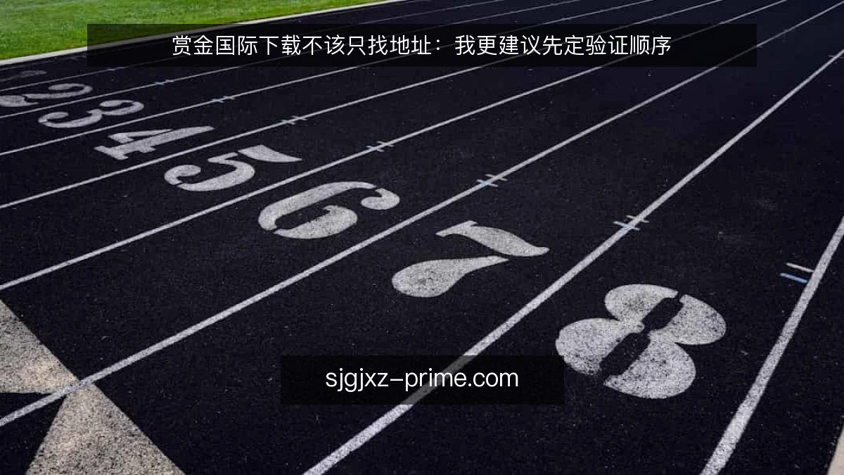 赏金国际下载不该只找地址:我更建议先定验证顺序