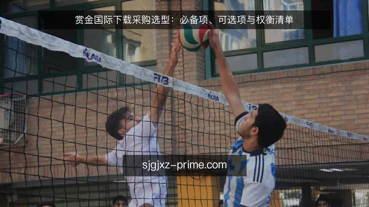 赏金国际下载采购选型:必备项、可选项与权衡清单