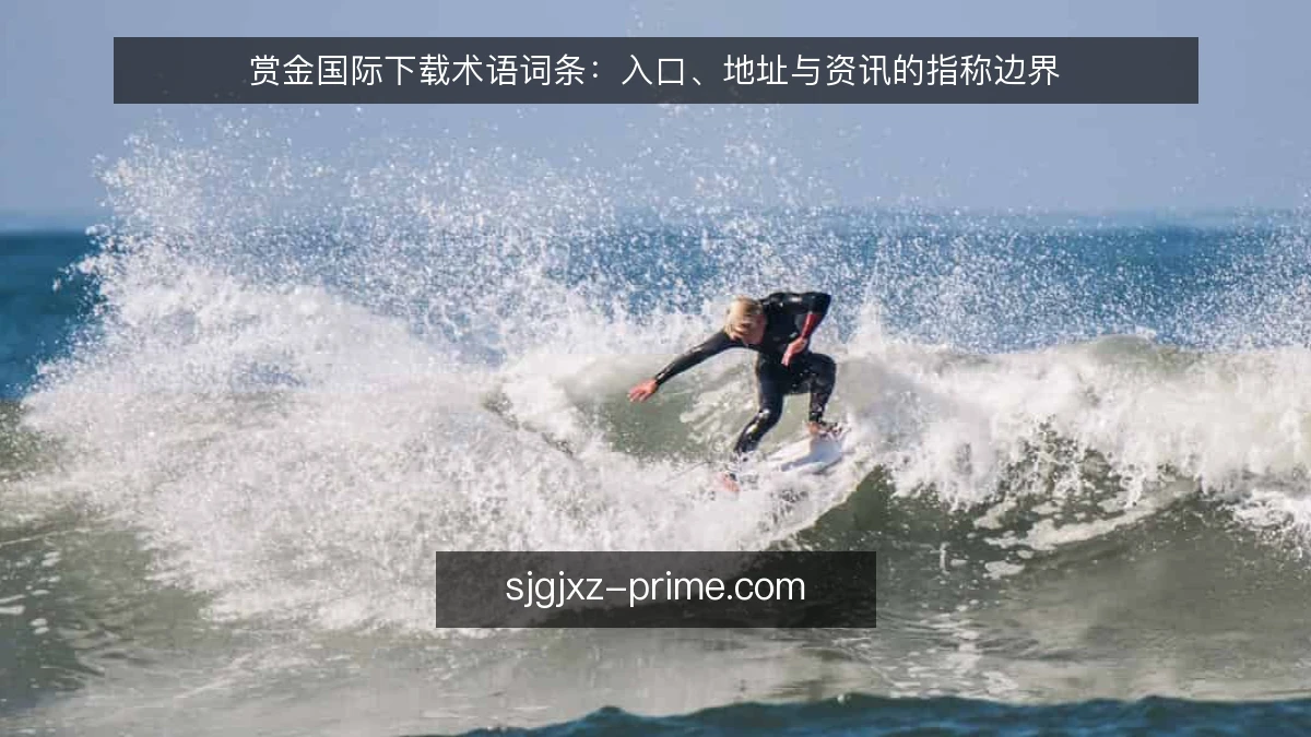赏金国际下载术语词条：入口、地址与资讯的指称边界