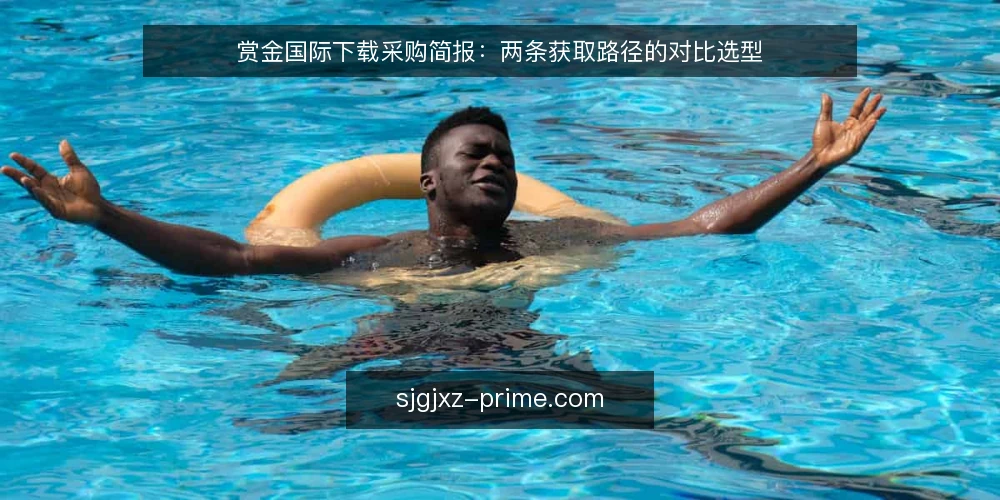 赏金国际下载采购简报：两条获取路径的对比选型 — 先定采购边界与评测口径 配图
