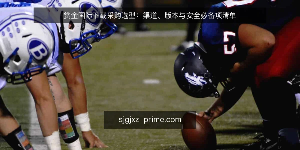 赏金国际下载采购选型：渠道、版本与安全必备项清单 — 渠道混乱下的选型困境 配图
