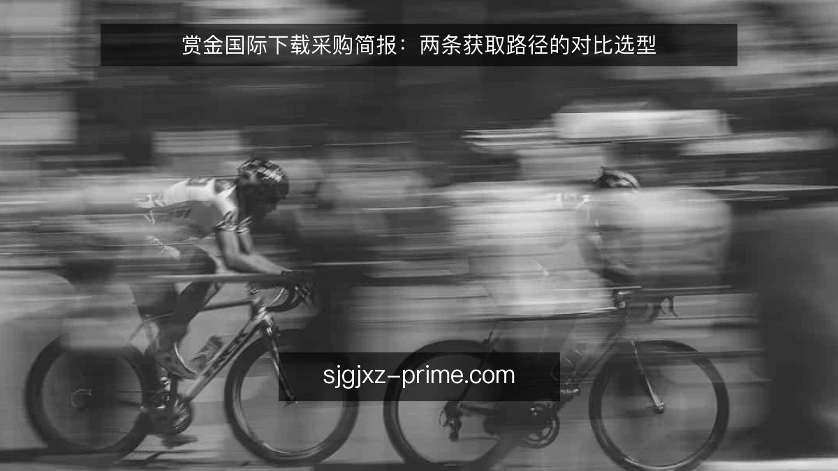 赏金国际下载采购简报：两条获取路径的对比选型