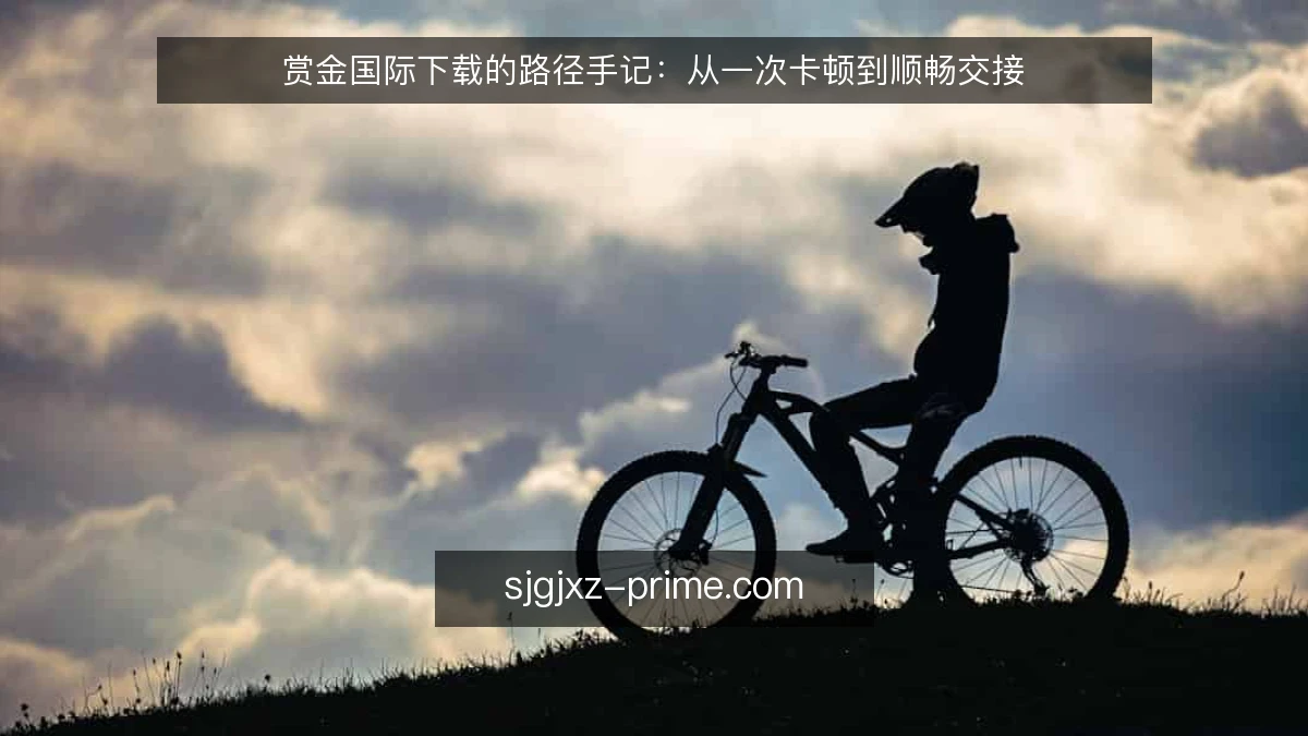 赏金国际下载的路径手记：从一次卡顿到顺畅交接
