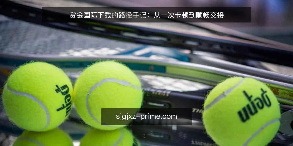 赏金国际下载的路径手记：从一次卡顿到顺畅交接 — 卡在第一步：那次下载为什么迟迟走不完 配图